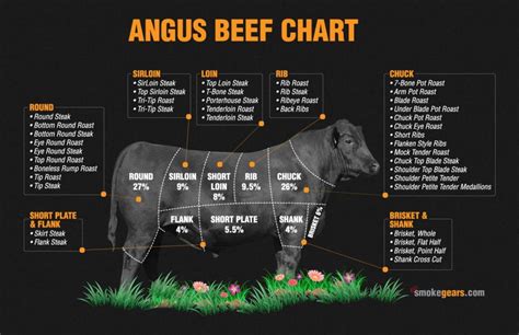 What Are The Eight Beef Primal Cuts