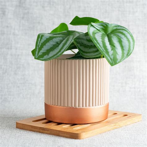 Cachepot Nude Cobre Em Cimento Canelado Decora O Cm Mart