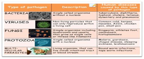 what are Pathogens Antigens and Antibodies | Basic Concepts | Biology | Psychology