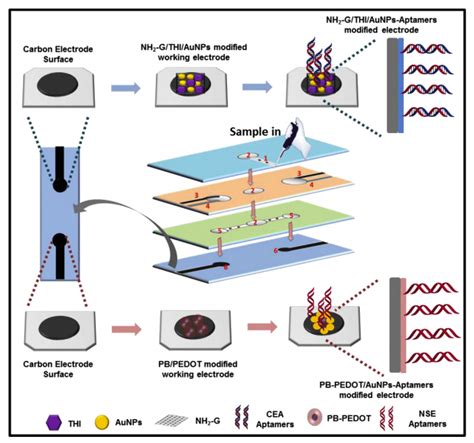 Sensors Free Full Text Cytokine And Cancer Biomarkers Detection