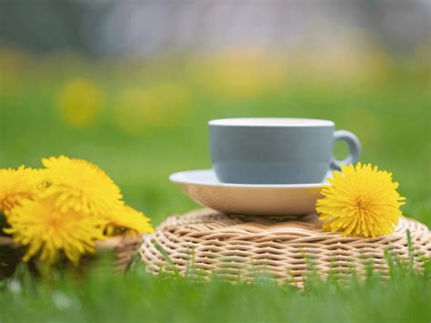 The Amazing Health Benefits Of Drinking Green Tea A Comprehensive
