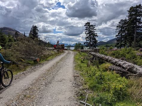 The Track Through A Tree Felling Zone David Medcalf Cc By Sa