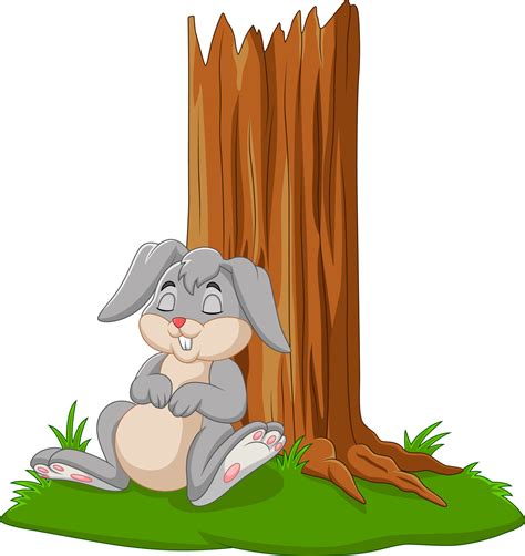 what happens if rabbit sleeping too much indoors 10