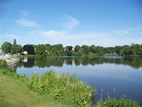 Free photo: Natural Beauty of Hidden Lake Gardens - Flower, Garden