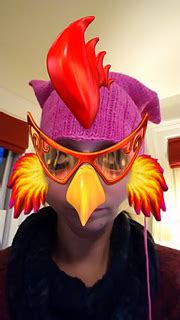 Ravelry LauraNelkin S Pussy Hat