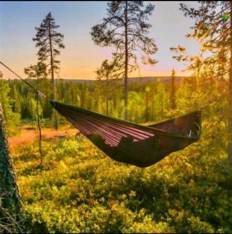 hammock alas veenuz trawas