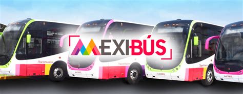 Lineas del Mexibus Toda la información sobre las líneas del Mexibús