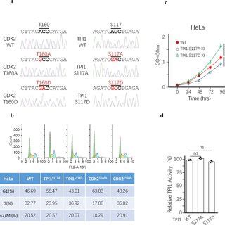 Nutrient Regulates Dhap And Mtorc Related To Fig A Nutrient