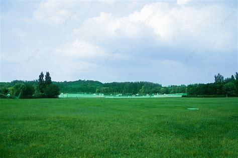 Background Langit Biru Dan Awan Putih Rumput Hijau Taman Hijau Latar