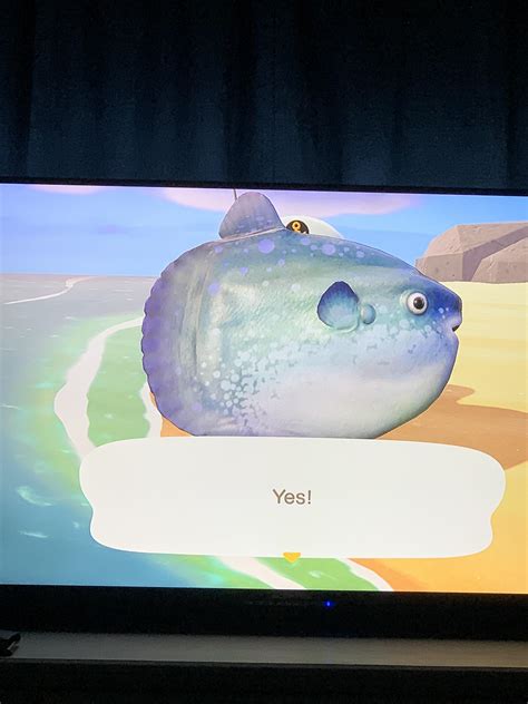 what on earth did i catch 😂 Fishbait really works : r/ac_newhorizons