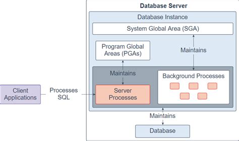 Oracle G C Architecture Explained In Detail