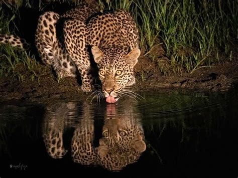 Ken Mullins on LinkedIn: “Those who kept silent yesterday will remain ...