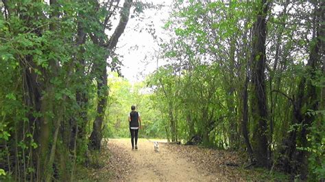 Gympie Mary River 4 Km Walk The Sands To Brisbane Road Youtube