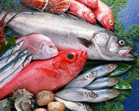 Come Riconoscere Il Pesce Fresco