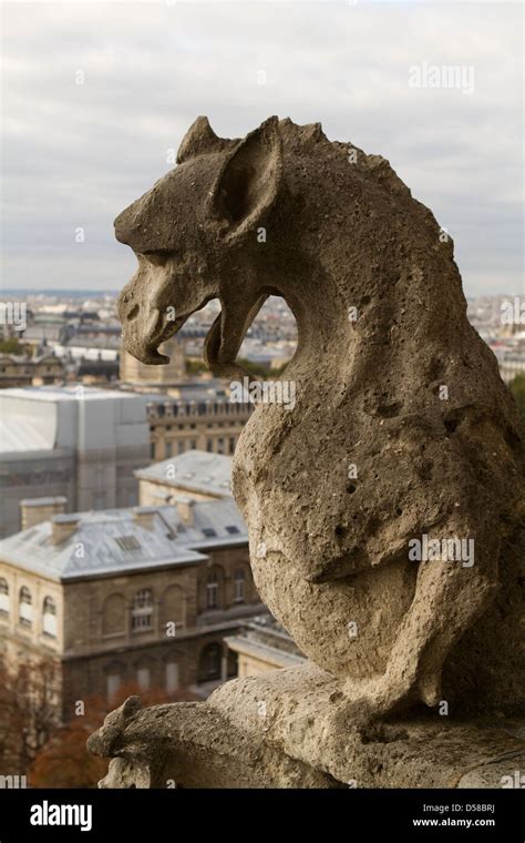 Gargoyle on Notre Dame Cathedral, Paris Stock Photo - Alamy