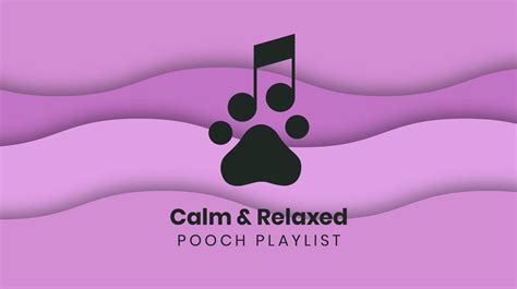 Calming Music for Dogs: Relaxed Pooch Playlist