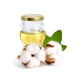 Buy Bulk Cotton Seed Oil Jedwards International