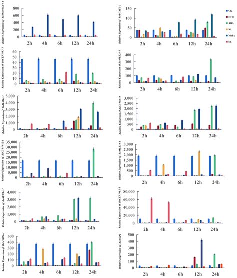 Glucosinolate Biosynthetic Genes Of Cabbage Genome Wide Identification