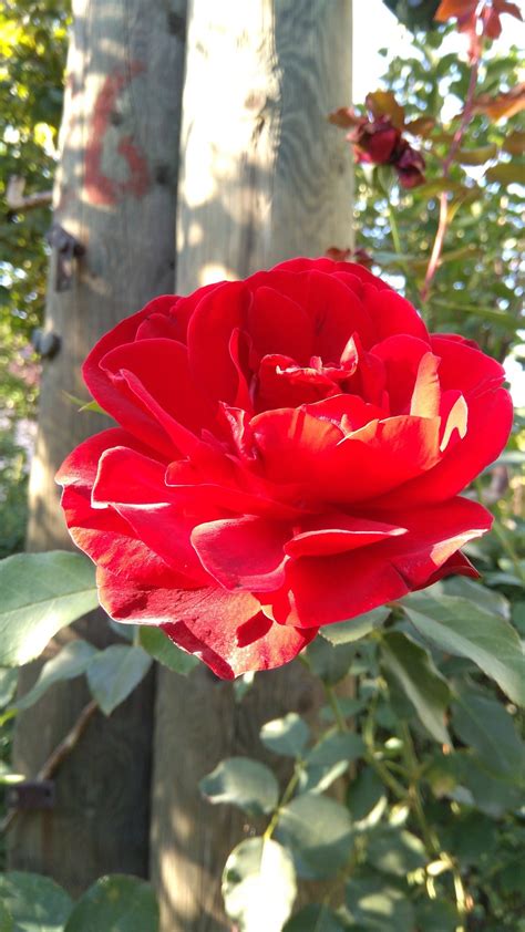 My Amateur Photography On Tumblr