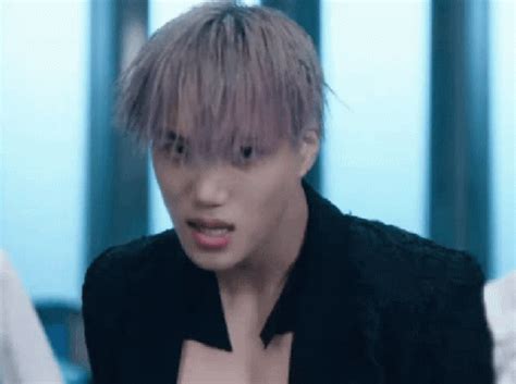 Seal Seals Seal Seals Feed Me Descubre Comparte Gifs My XXX Hot Girl