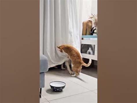 Кошмары Кошмарика - YouTube