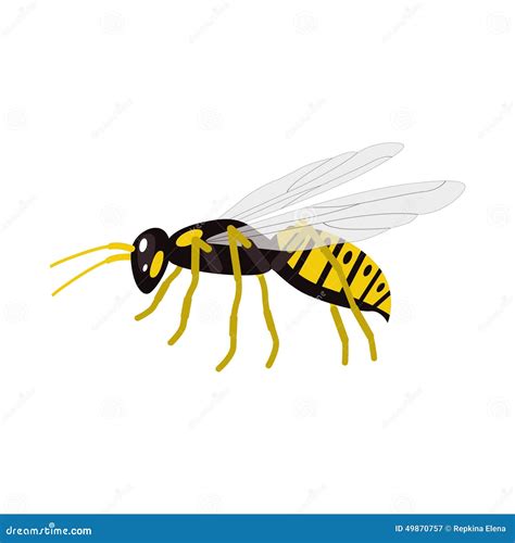 Cartoon Wasp Character Vector Illustration Stock Vector - Illustration