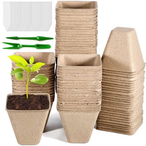 Macetas biodegradables la opción eco friendly para tus plantas y el