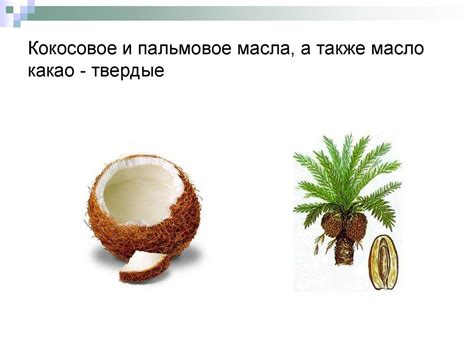 Жиры - презентация онлайн