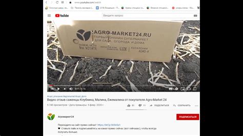 Еще один правдивый отзыв о фирме Агромаркет - YouTube