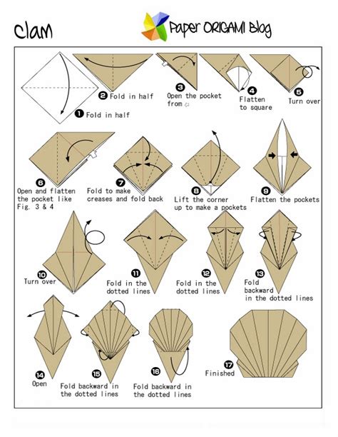 Sea Creature Origami A Clam Paper Origami Guide