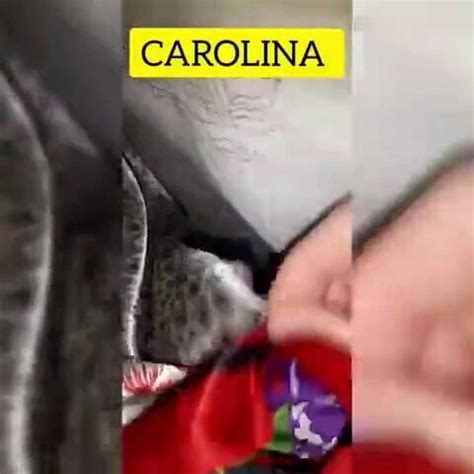 Pajita De Domingo Free Gay Porn Video XHamster