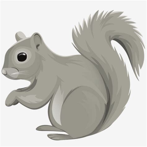 Download High Quality Squirrel Clipart Small Transparent Png Images