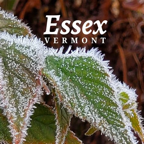 Town of Essex | Essex Junction VT