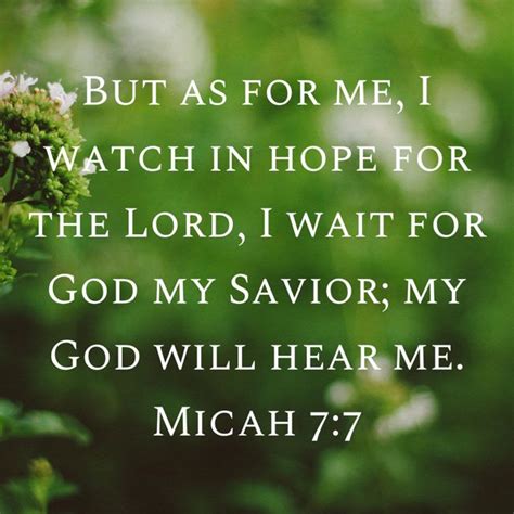 Micah 7 7 But As For Me I Watch In Hope For The LORD I Wait For God