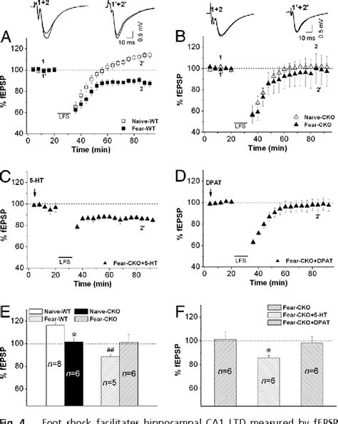 Pdf Enhanced Contextual Fear Memory In Central Serotonin Deficient Mice Semantic Scholar