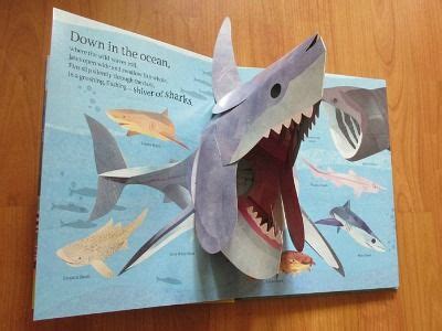 animals  childrens wildlife pop  book pop  book diy