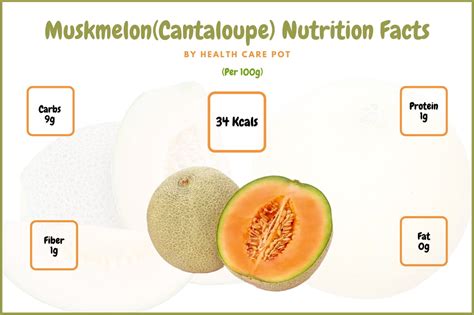 Muskmelon Cantaloupe G Nutrition Facts And Benefits