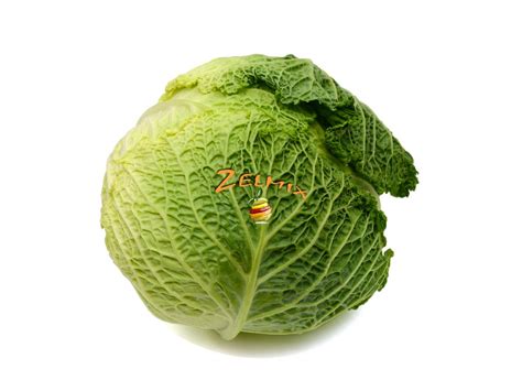 kel zelbox