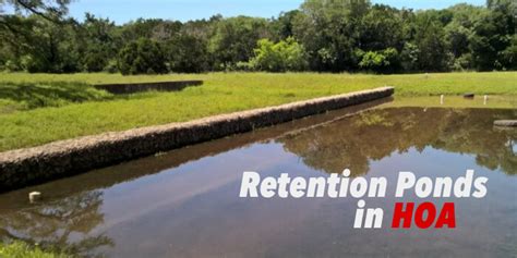 Retention Ponds In Hoa Communities What You Need To Know