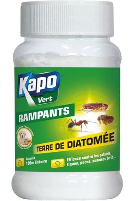 Terre de diatomée Kapo Vert 100G Droguerie Insecticide volants et