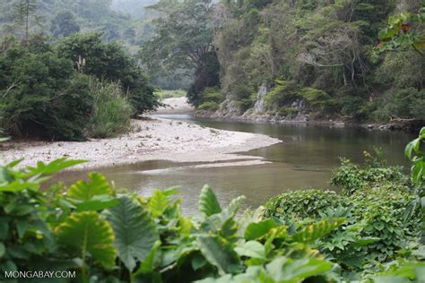 Colombia’s national parks at a crossroads as new director installed