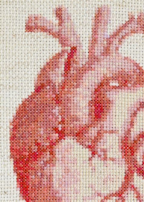 Anatomical Heart Cross Stitch Pattern Etsy