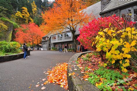 Multnomah Falls Lodge Opens Again, Just In Time For Beautiful Fall Colors