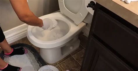 What Causes Black Mold in Your Toilet Bowl? | Reasons, Danger, and ...