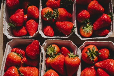 strawberry - Daniur