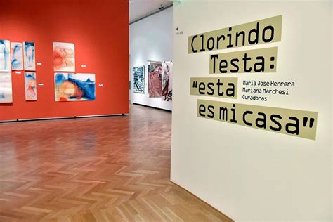 pandorama el museo nacional de bellas artes presenta la exposicion