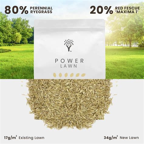 Power Lawn Grass Seed | MOOWY