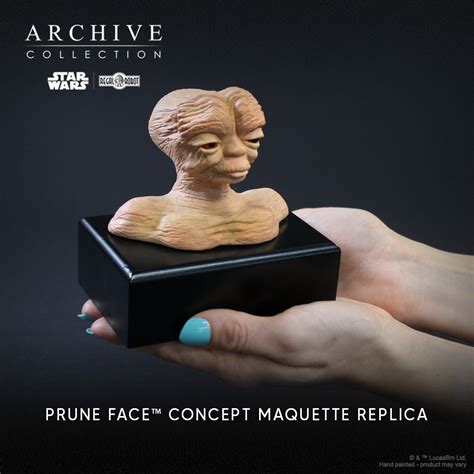 Available Now Archive Collection Prune Face Concept Maquette