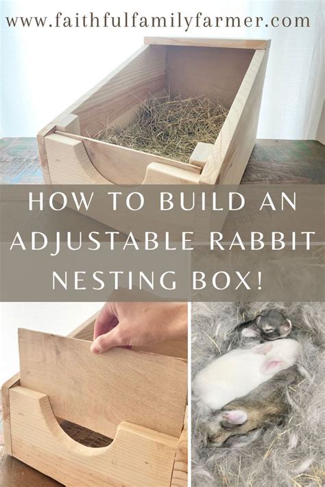 How To Build An Adjustable Rabbit Nesting Box In Rabbit Nesting