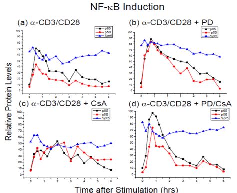 Nuclear Induction Kinetics Of Nf B Following Tcr Activation